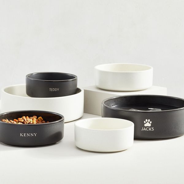Pottery Barn Mason Stoneware Pet Bowl