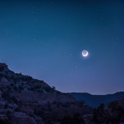 Dairy collected by moonlight may be a superior bedtime snack.