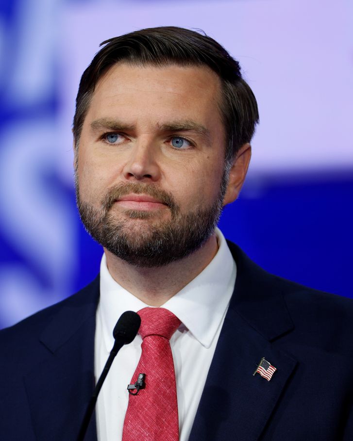 2024-election-the-cut