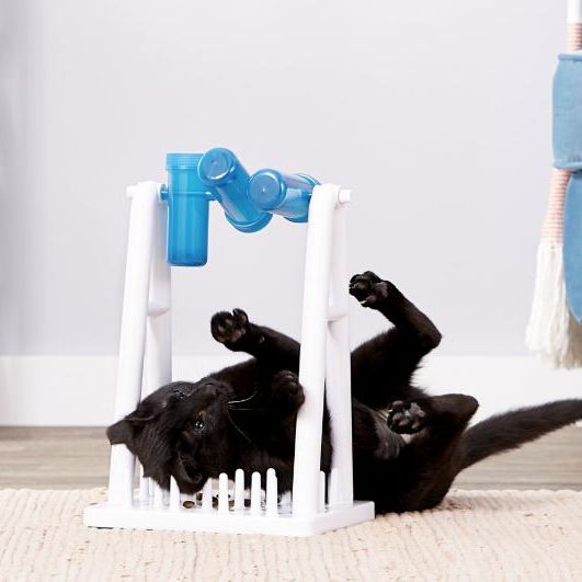 The 3 Best Cat Puzzle Toys & Interactive Cat Games