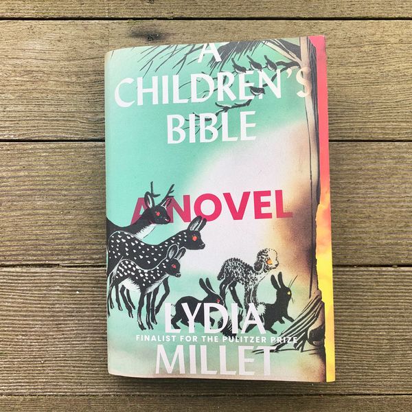 A Children’s Bible by Lydia Millet