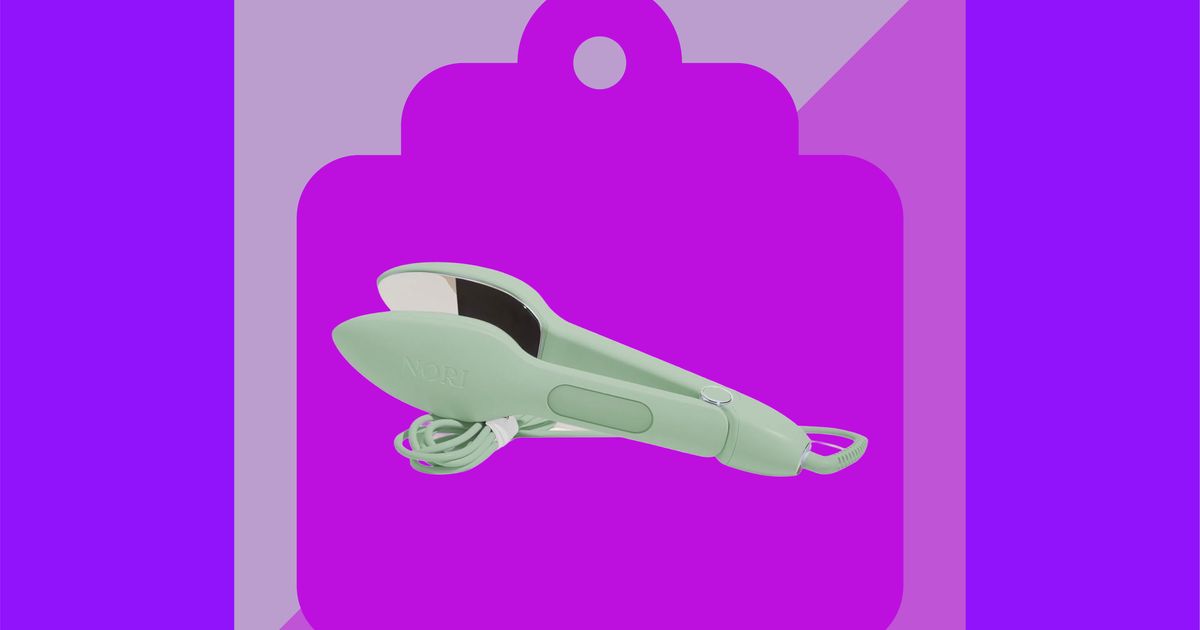 A Travel-Friendly Steam Iron for Under $90