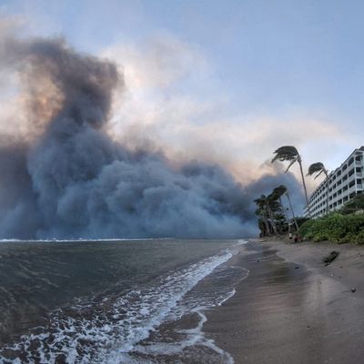 Wildfires driven by high winds hit Hawaiian island of Maui