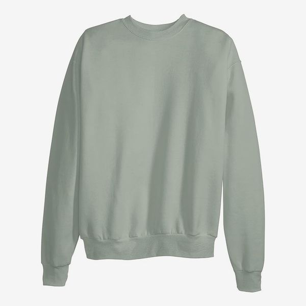 Hanes Men's EcoSmart Fleece Pullover Crewneck Sweatshirt