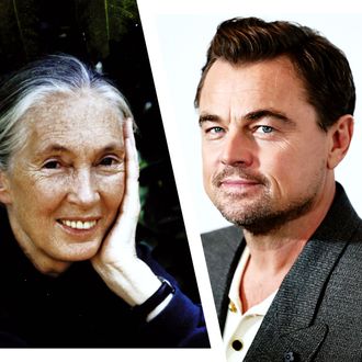 Leonardo DiCaprio Says Jane Goodall Was his Hero