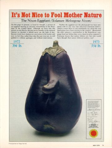 The Richard Nixon Eggplant by Peggy Barnett