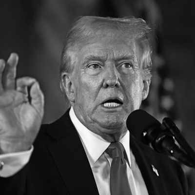 Republican Presidential Nominee Donald Trump Speaks To The Press In Palm Beach, Florida