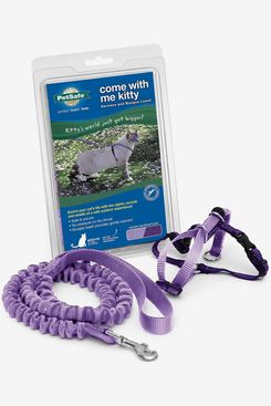 PetSafe Come With Me Kitty Harness & Bungee Cat Leash