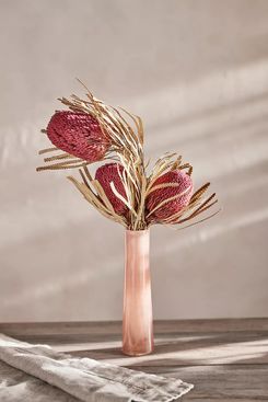 Terrain Dried Banksia Bunch