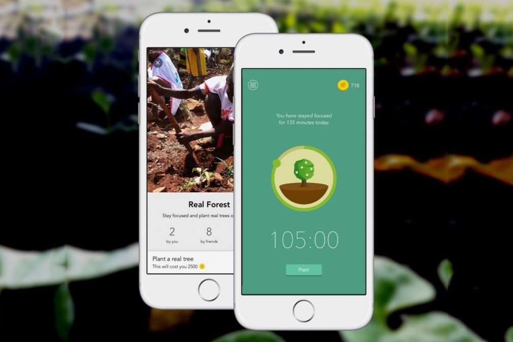 Focus apps. Forest приложение. Forest — stay Focused приложение. Приложение Forest логотип. Forest приложение для концентрации.