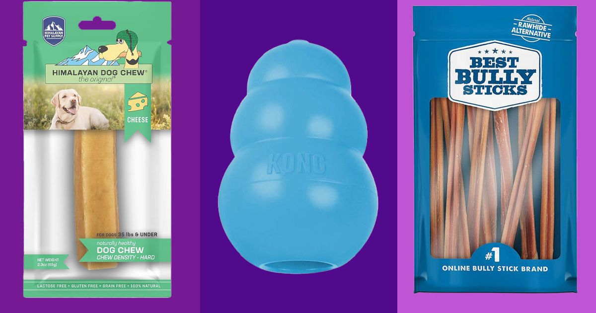 The Best Dog Toys, According to Chewy Shoppers