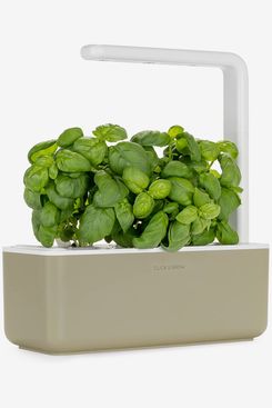 Best Indoor Herb Garden Kits