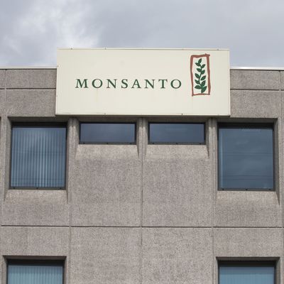 Lawsuit Alleges Monsanto Hired Trolls to Attack Critics