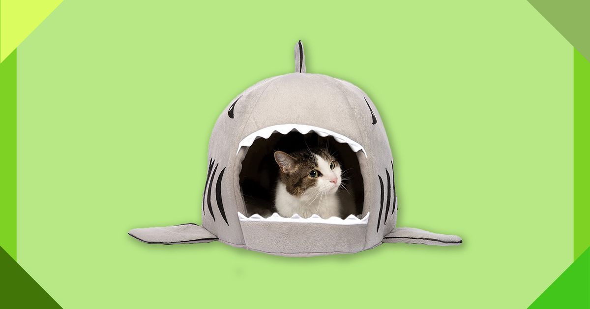 The 64 Best Gifts for Cat Lovers 2022