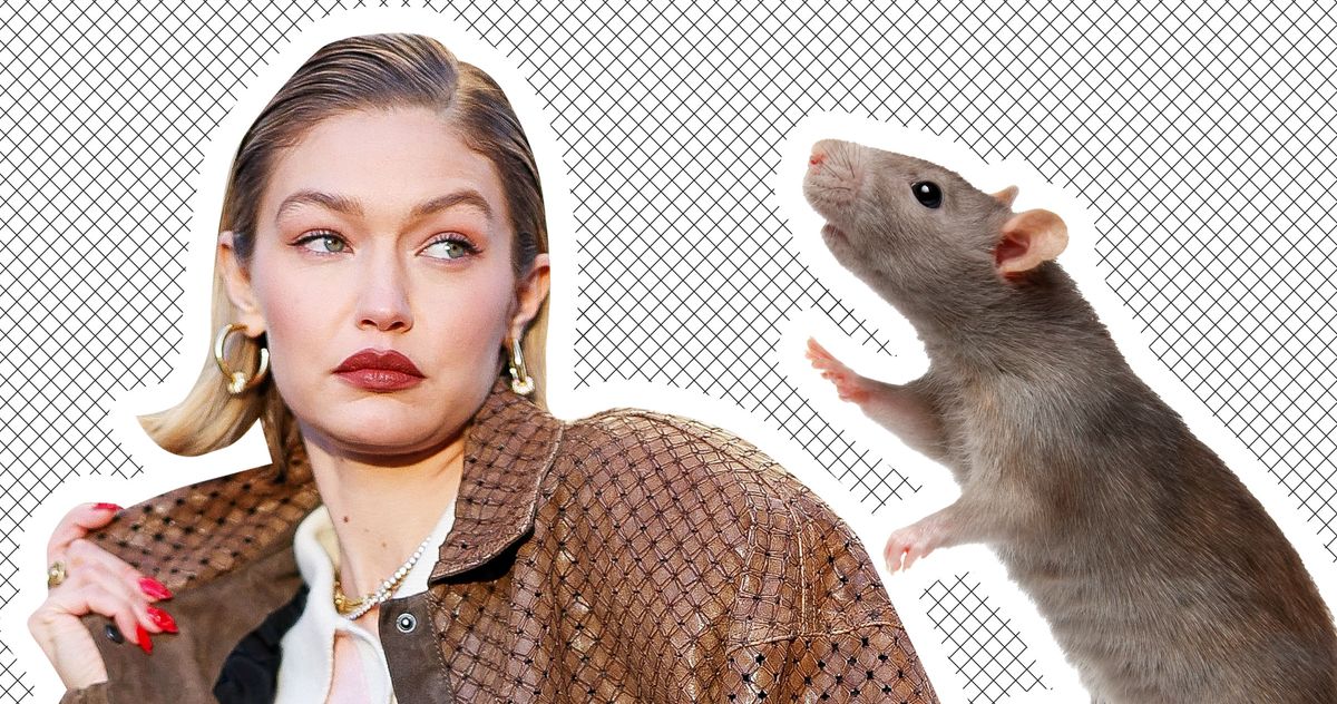 Gigi Hadid's Surprising Struggle with NYC's Rat Infestation