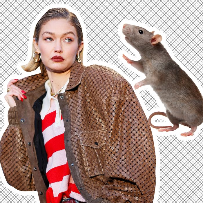 Gigi Hadid's Rat Problem