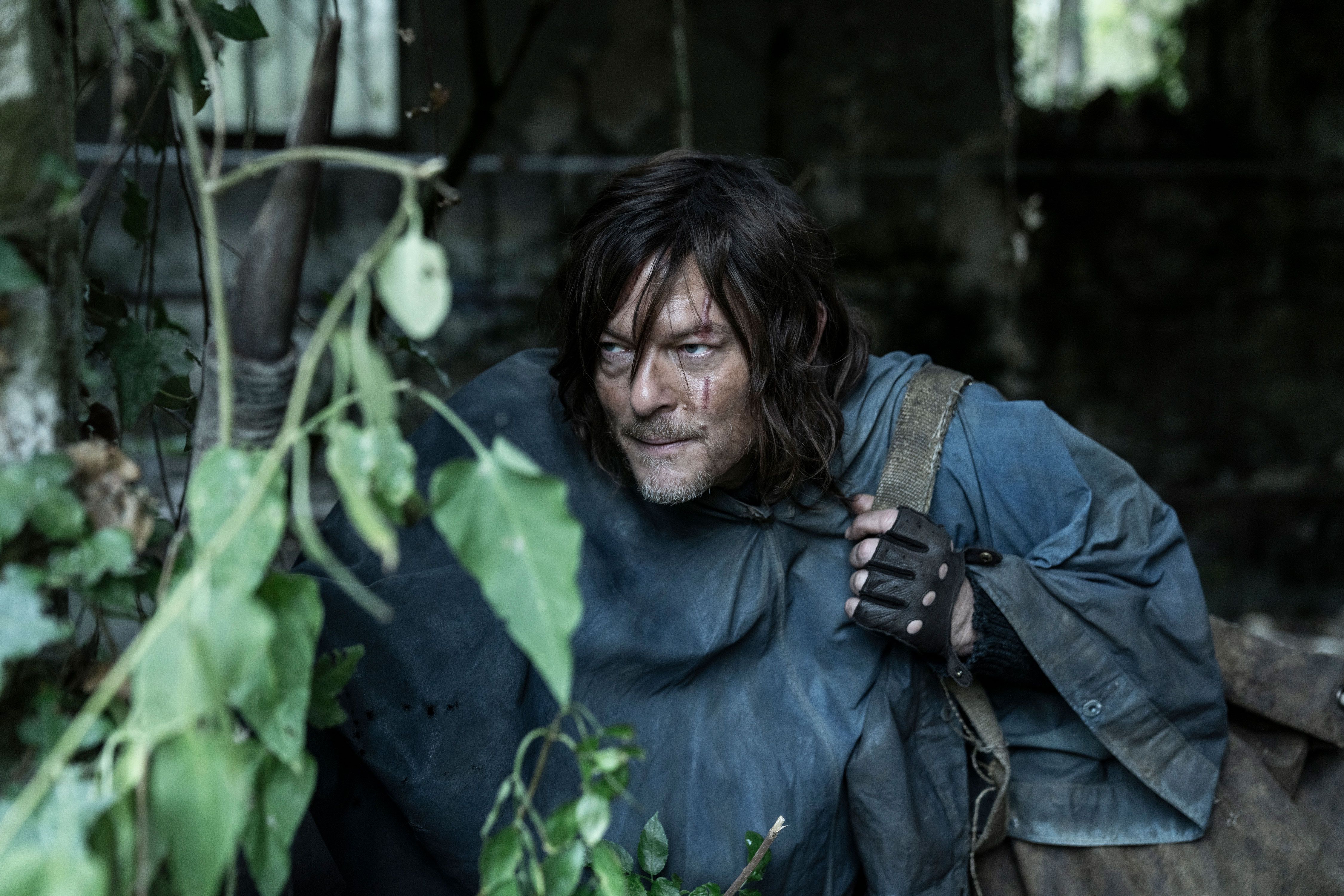 daryl dixon season 4