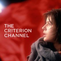 The Criterion Channel - 1-Year Subscription