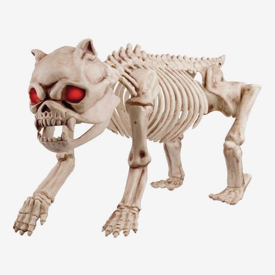 Acentos para el hogar Holiday 19 in. Animated Skeleton Dog