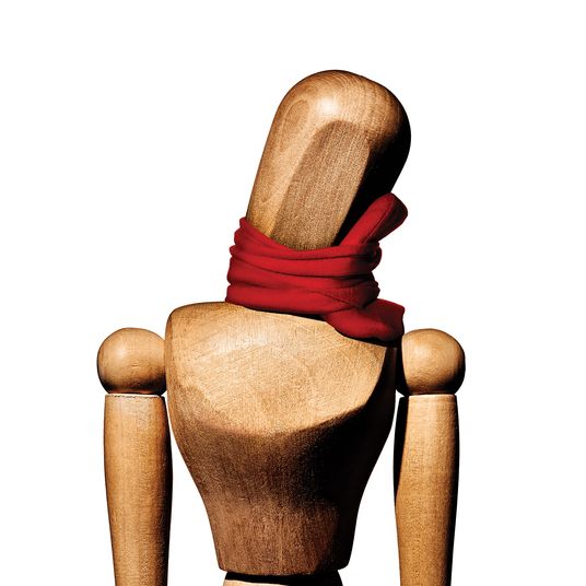 Pillows The Strategist The Strategist