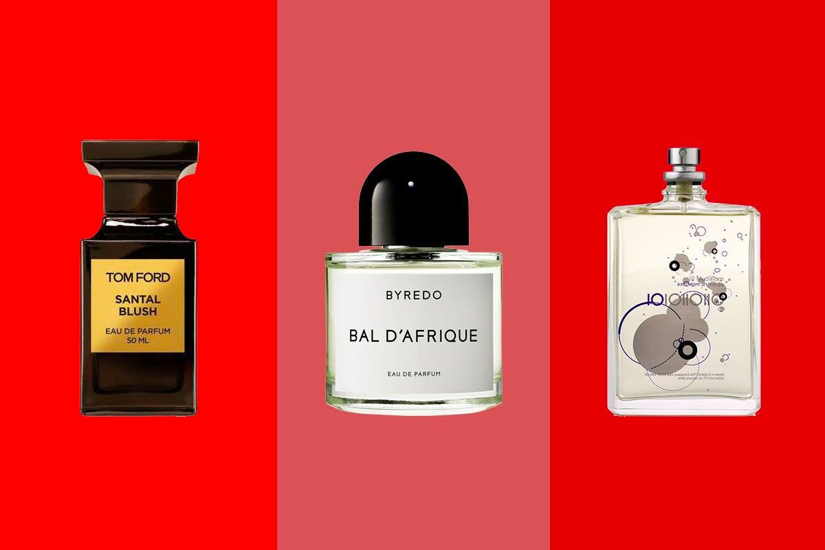 The 5 Sexiest Fragrances 2022 The Strategist