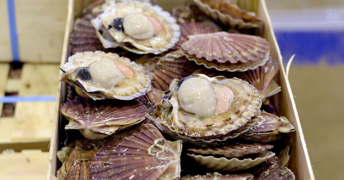 Prized California Restaurant Sued for Serving Lethal ‘Undercooked’ Scallops