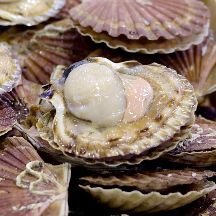Prized California Restaurant Sued for Serving Lethal ‘Undercooked’ Scallops How To Tell When Scallops Are Bad