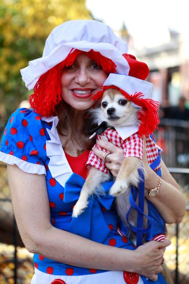 Forty-five Dogs in Cute Costumes