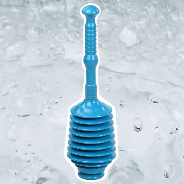 G.T. Water Products Plunger