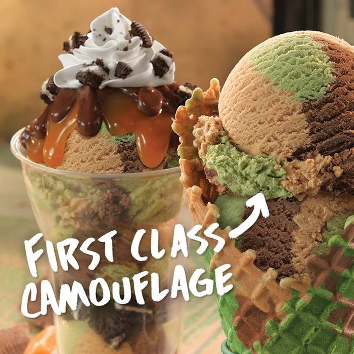 Baskin Robbins Invented Camouflage Ice Cream