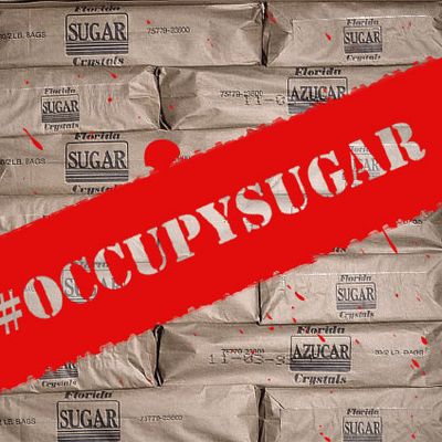 December 1991, Florida, USA --- Bags of packed sugar at a sugar mill owned by the Okeelanta Sugar corporation. | Location: Glades, Florida, USA. --- Image by ? Tony Arruza/CORBIS