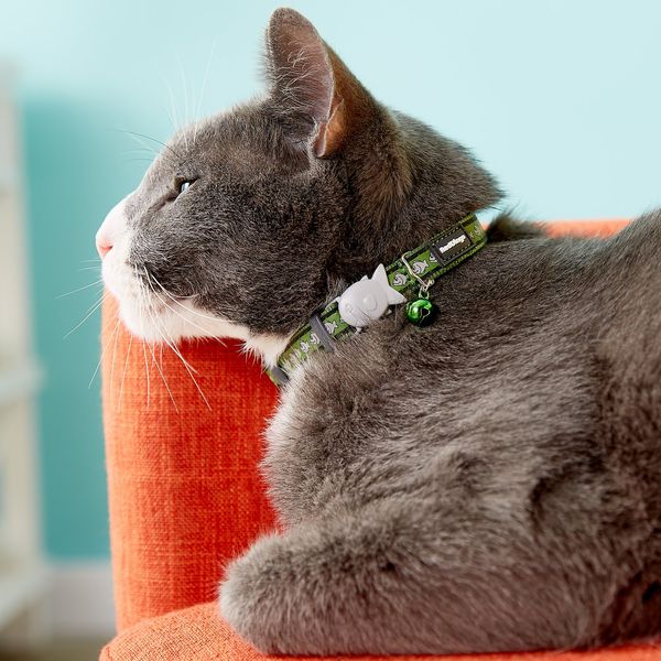 Red Dingo Reflective Cat Collar