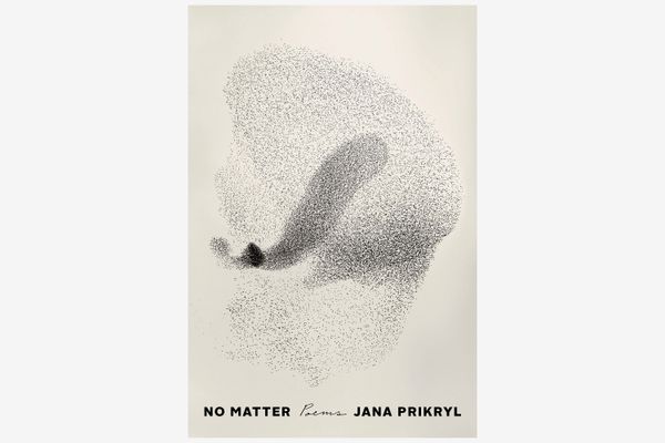 No Matter: Poems by Jana Prikryl
