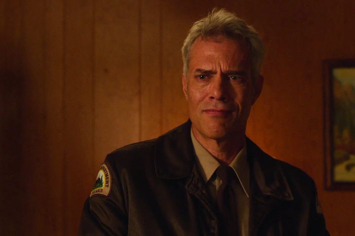 Twin Peaks season 3 full cast list and characters guide: who's who and what  do they look like now?