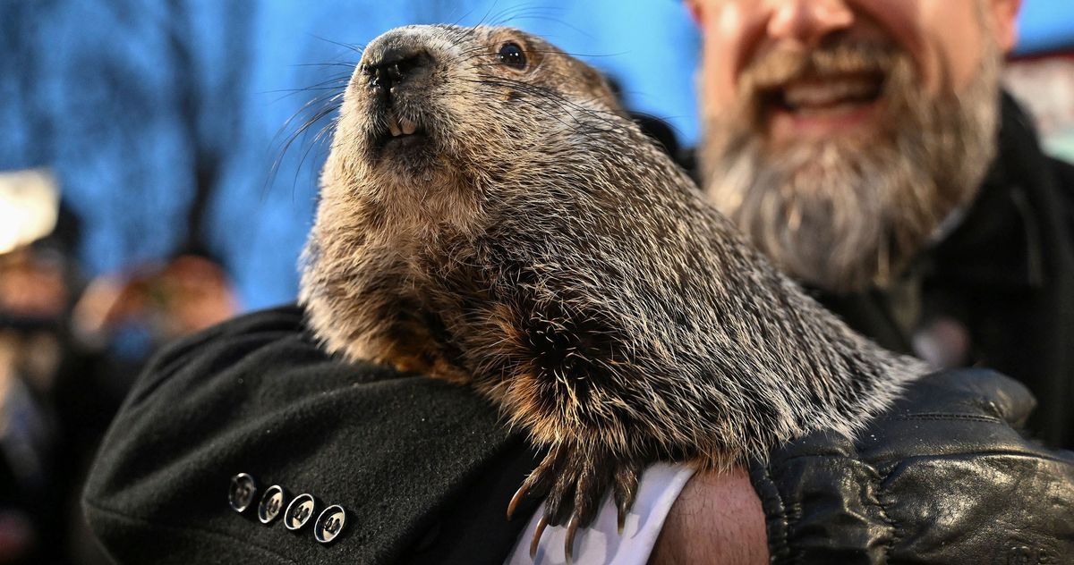 Punxsutawney Phil Stuns At Groundhog Day