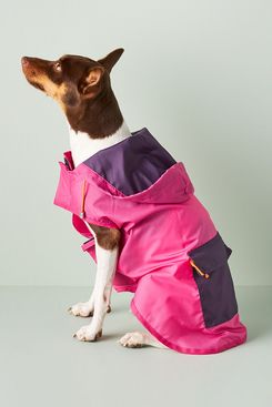 Ware of the Dog Dog Anorak Raincoat