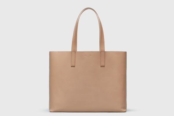 Everlane The Day Market Tote in Taupe