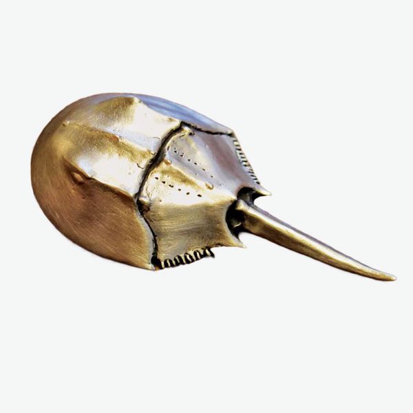 Horseshoe Crab Bottle Opener - Brushed Yellow