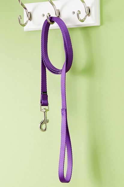 12 Best Dog Leashes 2023 | The Strategist