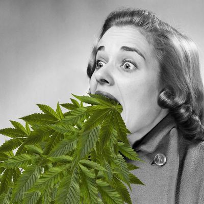 Fancy Pipes: Who Cares? - My Marijuana Story