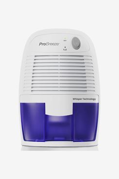 This Top-Rated Small Dehumidifier Is Just $40 at