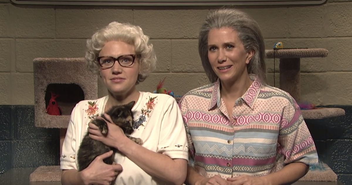 Kate McKinnon and Kristen Wiig Are the Best Cat Ladies