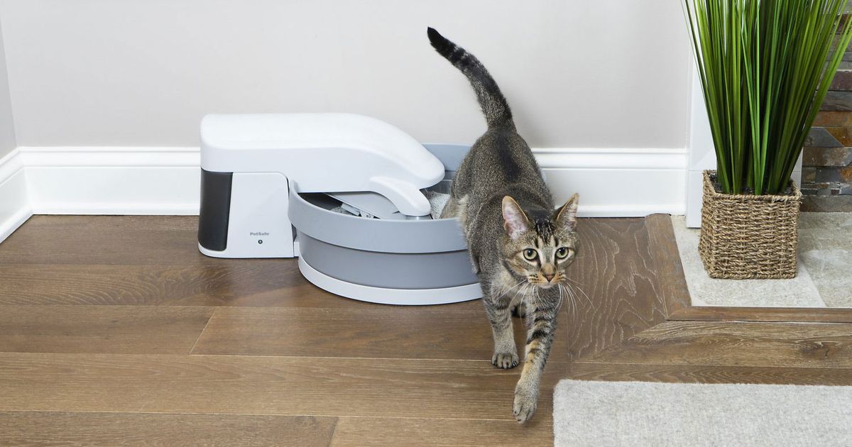 3 Best SelfCleaning Automatic Litter Boxes 2020 The Strategist
