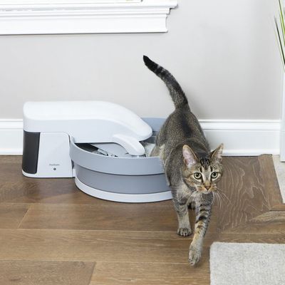 Fancy shop litter box