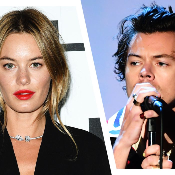 Merchandising Previs site Retired What Harry Styles Says About Camille Rowe on Fine Line Album