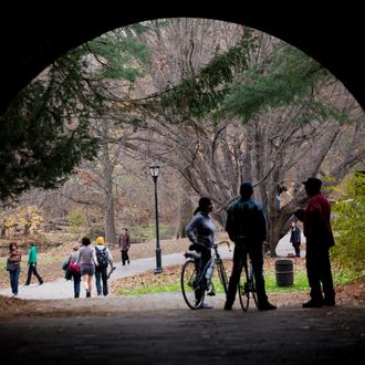NEW YORK, NY - NOVEMBER 27: People walk and bike along a path during the mild autumn weather in Prospect Park on November 27, 2011 in the Brooklyn borough of New York City. The Thanksgiving holiday weekend saw unseasonably mild weather with temperatures in the mid to high 60s in the northeast. (Photo by Michael Nagle/Getty Images)