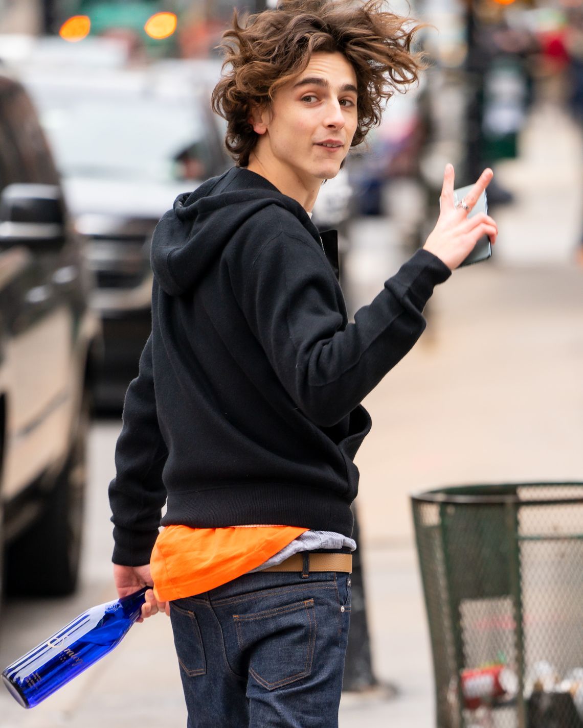 15 Very Good Photos of Timothée Chalamet's Very Good Hair