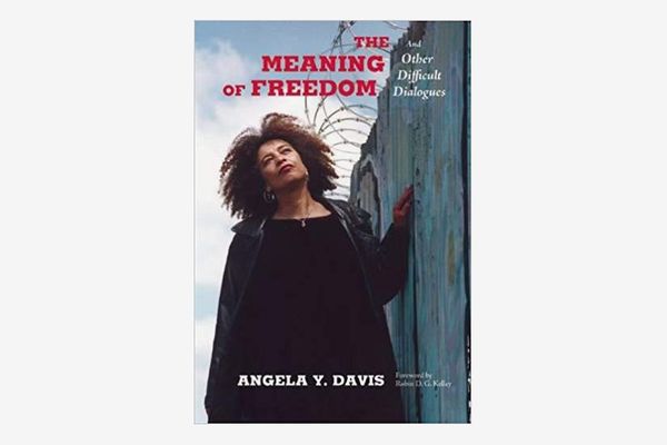 The Meaning of Freedom: And Other Difficult Dialogues
