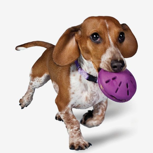 PetSafe Busy Buddy Twist ’n Treat Dog Toy