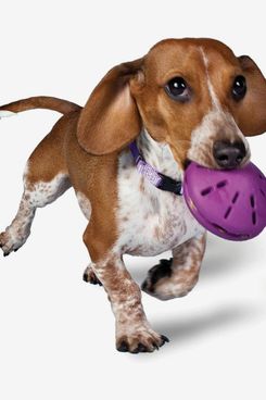 PetSafe Busy Buddy Twist ’n Treat Dog Toy